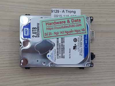 9129 Western 2TB