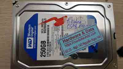 cứu dữ liệu ổ cứng Western 250GB chết cơ