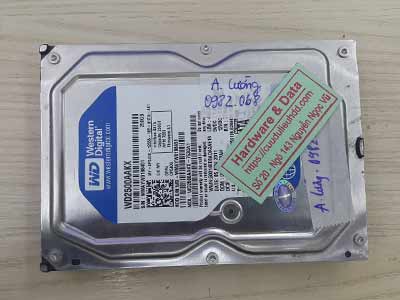 Cứu dữ liệu Western 250GB hỏng đầu từ