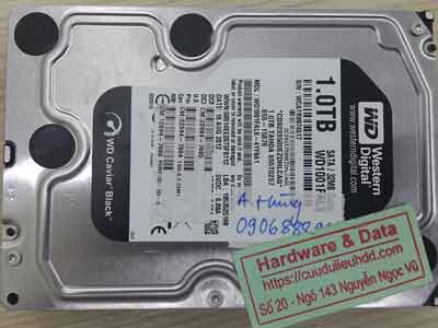 khôi phục dữ liệu ổ cứng Western 1TB format nhầm