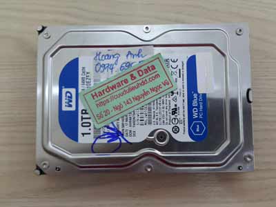 phục hồi dữ liệu ổ cứng western 1TB bị virus mã hóa