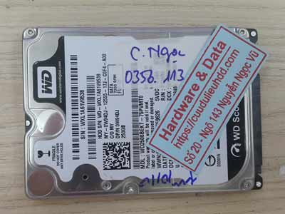 Lấy lại dữ liệu ổ cứng western 250GB đầu từ lỗi