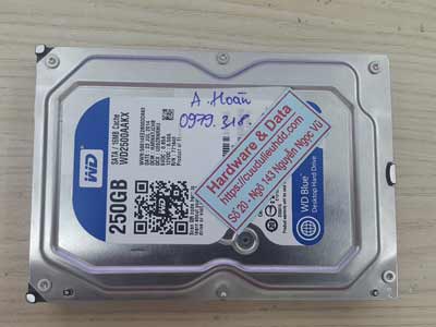 phục hồi dữ liệu ổ cứng Western 250GB chết cơ