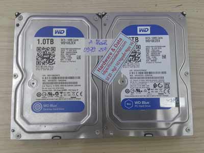 phục hồi dữ liệu Virus mã hóa Western 1TB