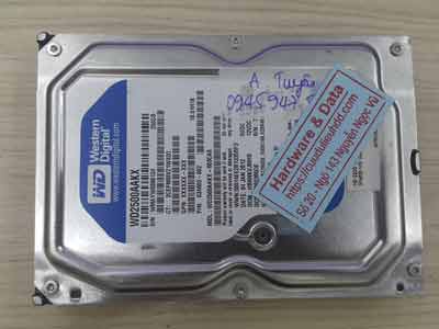 Khôi phục dữ liệu ổ cứng Western 250GB lỗi cơ
