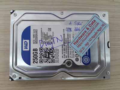 cứu dữ liệu ổ cứng Western 250GB chết cơ
