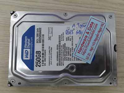 phục hồi dữ liệu ổ cứng Western 250GB chết cơ