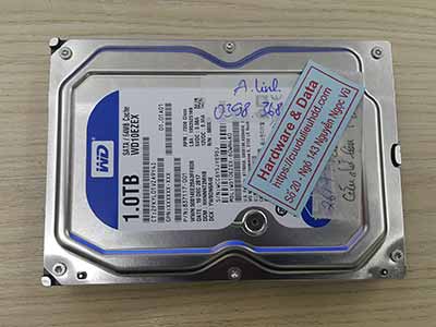 Khôi phục dữ liệu ổ cứng Western 1TB mất dữ liệu