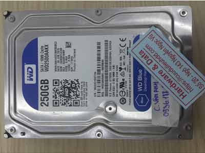 phục hồi dữ liệu ổ cứng Western 250GB virus mã hóa