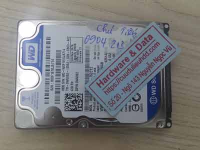 Khôi phục dữ liệu ổ cứng Western 320GB mất dữ liệu