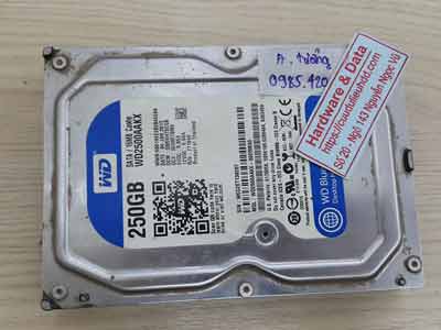 khôi phục dữ liệu ổ cứng Western 250GB đầu từ lỗi