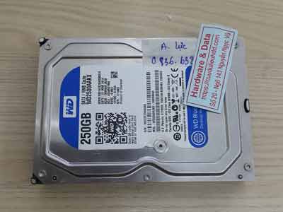 phục hồi dữ liệu ổ cứng Westren 250GB mất dữ liệu