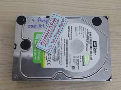 khôi phục dữ liệu ổ cứng Western 500GB virus mã hóa