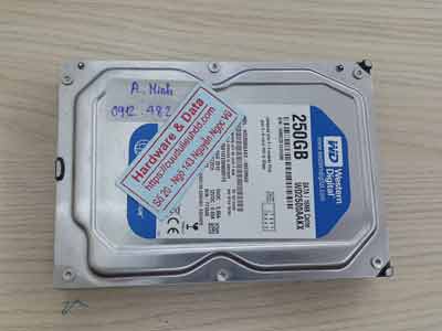phục hồi dữ liệu ổ cứng Western 250GB đầu đọc lỗi