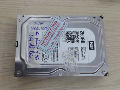 phục hồi dữ liệu ổ cứng Western 250GB chết cơ