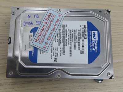Lấy lại dữ liệu ổ cứng Western 500GB mất dữ liệu