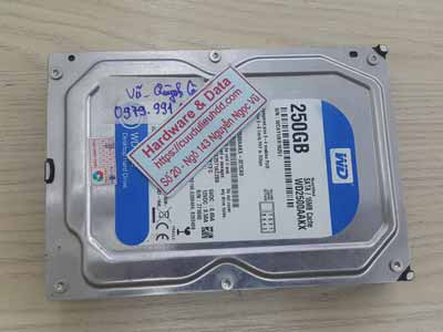 Phục hồi dữ liệu ổ cứng Westen 250GB hòng dầu từ