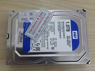 Phục hồi dữ liệu ổ cứng Western 1TB đầu từ lỗi