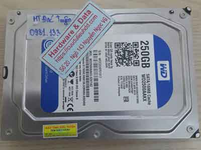 Cứu dữ liệu ổ cứng Western 250GB đầu từ lỗi
