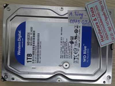 Western 1TB cài win