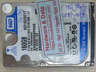 Western-160GB