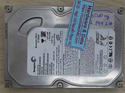 10907 Seagate-80GB