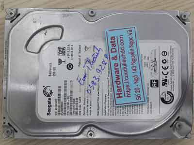 11113-Seagate-250GB