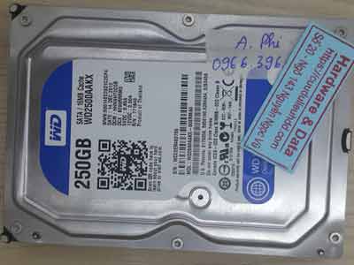 11172-Western-250GB