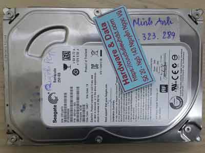 11264-Seagate-250GB