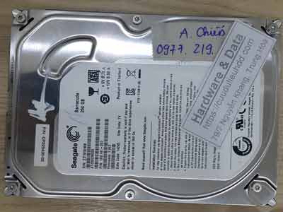 11367-Seagate-250G