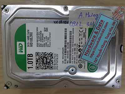 11424-Western-1TB