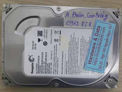 23-7-Seagate-250GB