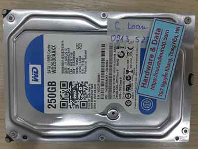 11451-Western-250GB