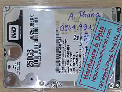 11462-Western-250GB