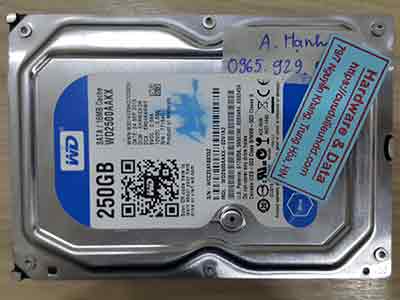 11475-Western-250GB
