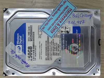 17-9-Western-250GB