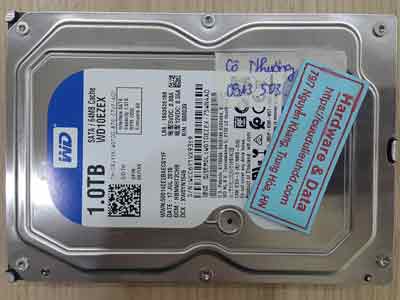 11554-Western-1TB