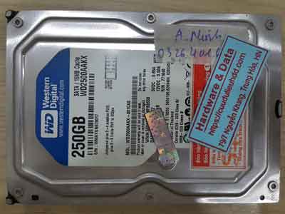 11711-WD-250GB