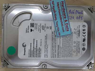 28-10-Seagate-250GB