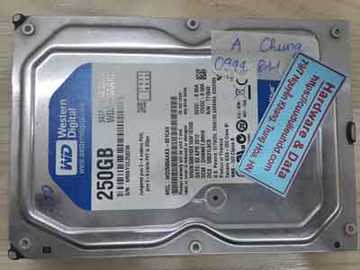 11887-Western-250GB