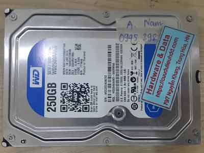 11976-Western-250GB