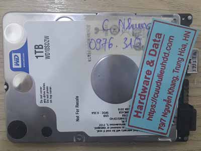 11977-Western-1TB