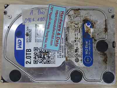 11981-Western-2TB