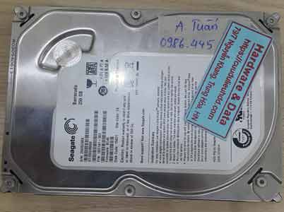 12006-Seagate-250GB