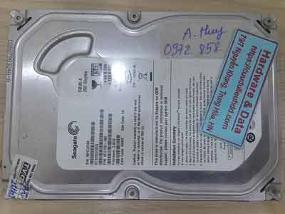 12007-Seagate-250GB
