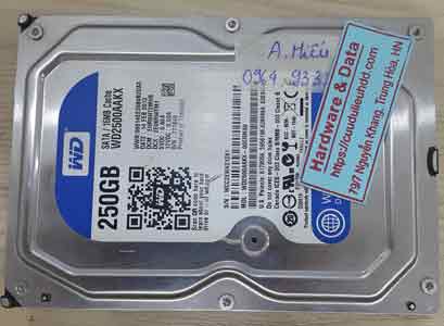 12008 Western 250GB