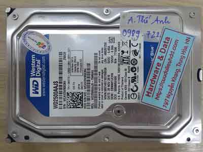 12037-Western-250GB