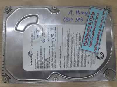 12054-Seagate-160GB