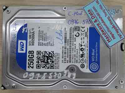 20-1-Western-250GB