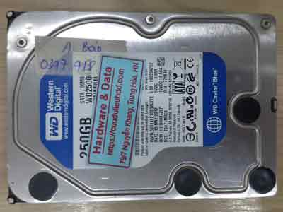 12183-Western-250GB